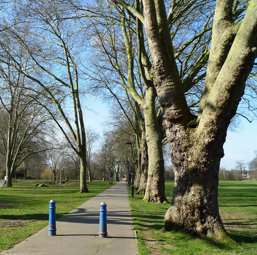 The Borough of Enfield