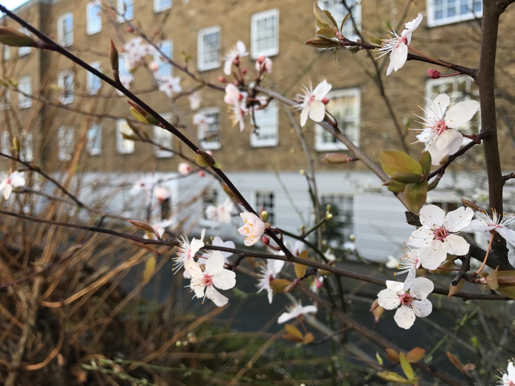 BTL tax changes lead landlords to set up limited companies